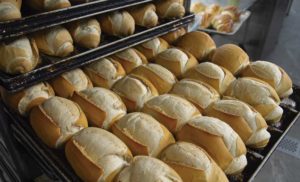 Bandejas com pães franceses recém-assados, dourados e crocantes, organizados em fileiras dentro de uma padaria, com pães e outros produtos de panificação ao fundo.